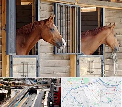 پانسیون اسب در ستارخان شیراز 