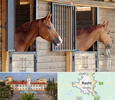 پانسیون اسب در رشت