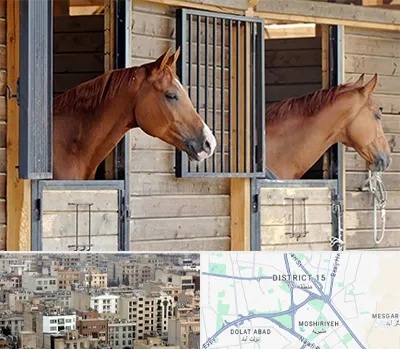 پانسیون اسب در جنوب شرق تهران