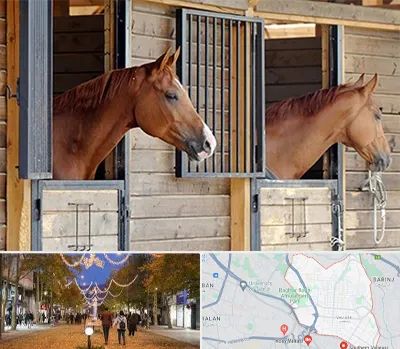 پانسیون اسب در ولیعصر ارومیه 