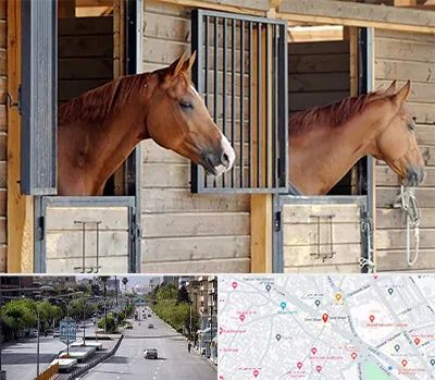 پانسیون اسب در خیابان زند شیراز 