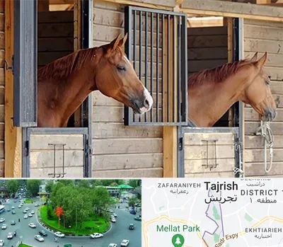 پانسیون اسب در تجریش 