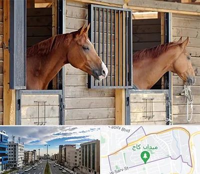 پانسیون اسب در سعادت آباد 