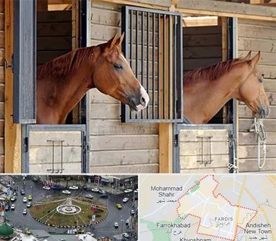 پانسیون اسب در فردیس کرج 