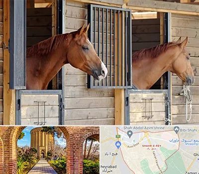 پانسیون اسب در شهر ری