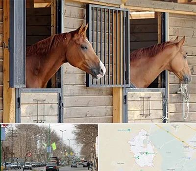 پانسیون اسب در نظرآباد کرج 