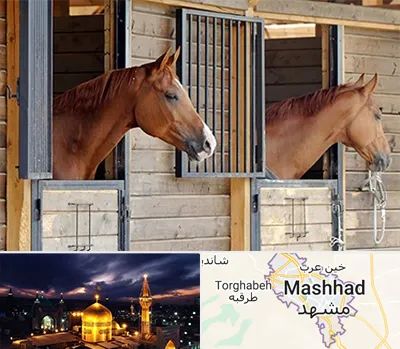 پانسیون اسب در مشهد