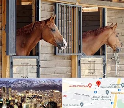 پانسیون اسب در جردن 