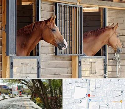 پانسیون اسب در خیابان توحید اصفهان 