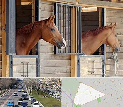 پانسیون اسب در احمدآباد مشهد 