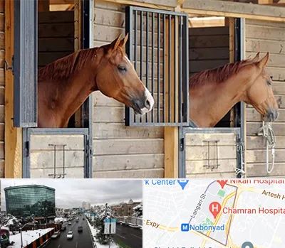 پانسیون اسب در اقدسیه 