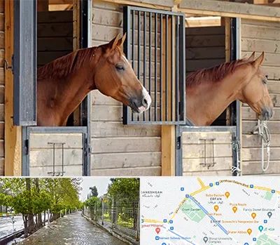 پانسیون اسب در خیابان ارم شیراز 