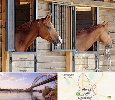 پانسیون اسب در اهواز