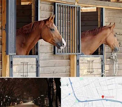 پانسیون اسب در ابوریحان تبریز 