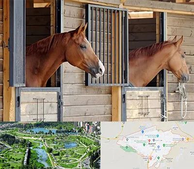 پانسیون اسب در بجنورد