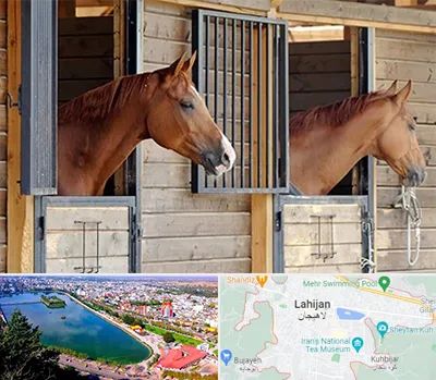 پانسیون اسب در لاهیجان