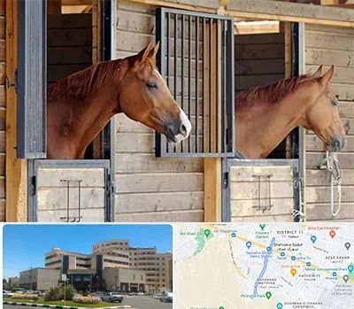 پانسیون اسب در صیاد شیرازی مشهد 