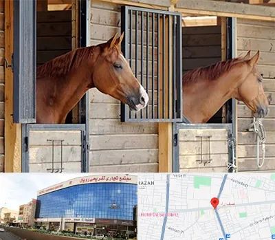 پانسیون اسب در نصف راه تبریز 