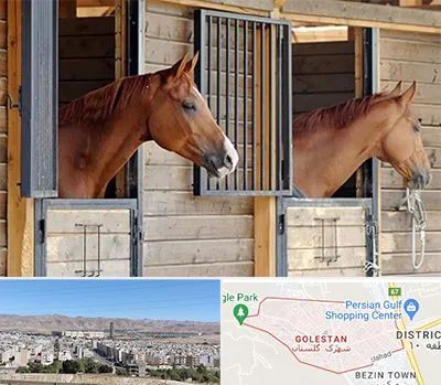 پانسیون اسب در شهرک گلستان شیراز 
