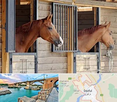 پانسیون اسب در دزفول