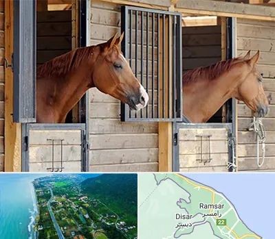 پانسیون اسب در رامسر