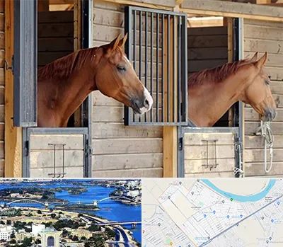 پانسیون اسب در کوروش اهواز 