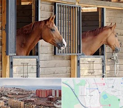 پانسیون اسب در سهند تبریز 