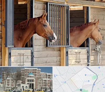 پانسیون اسب در طلاب مشهد 