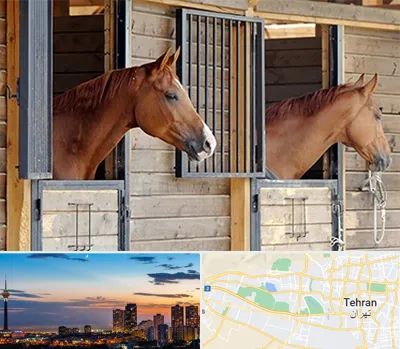 پانسیون اسب در غرب تهران 
