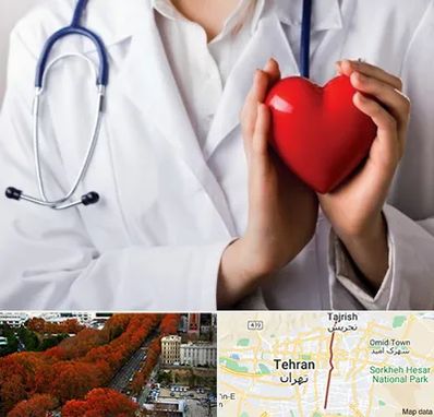 متخصص آریتمی قلب در ولیعصر 