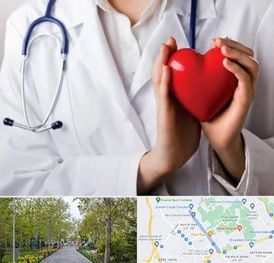 متخصص آریتمی قلب در قدوسی غربی شیراز 