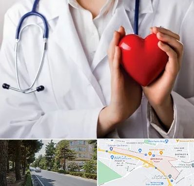 متخصص آریتمی قلب در مهرویلا کرج 