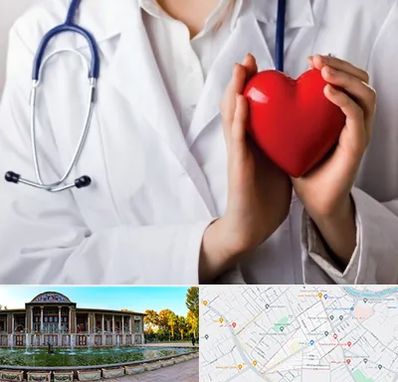 متخصص آریتمی قلب در عفیف آباد شیراز 