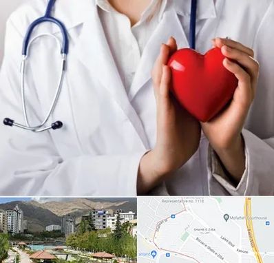 متخصص آریتمی قلب در شهر زیبا 