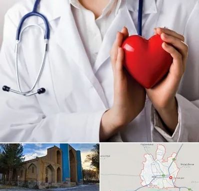 متخصص آریتمی قلب در اهر
