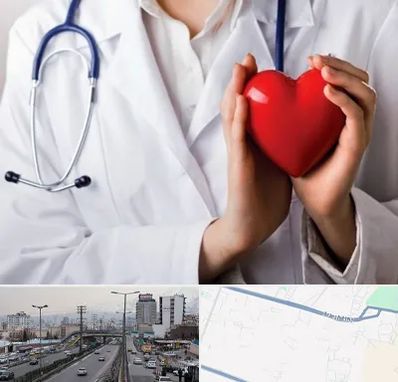 متخصص آریتمی قلب در بلوار ارتش
