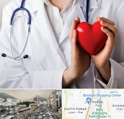 متخصص آریتمی قلب در پونک 
