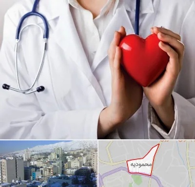 متخصص آریتمی قلب در محمودیه