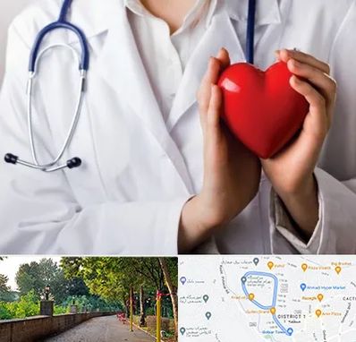 متخصص آریتمی قلب در فلکه گاز رشت 