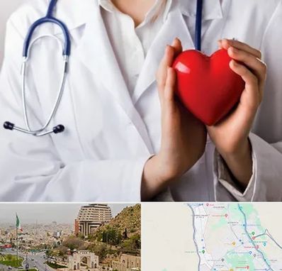 متخصص آریتمی قلب در فرهنگ شهر شیراز 