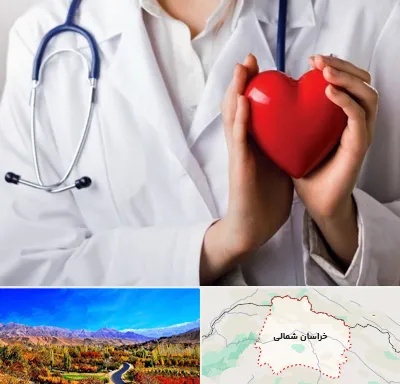 متخصص آریتمی قلب در خراسان شمالی
