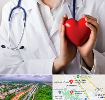 متخصص آریتمی قلب در قصرالدشت شیراز 