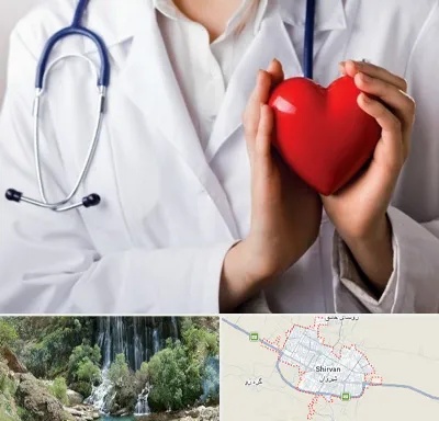 متخصص آریتمی قلب در شیروان