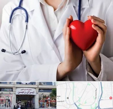 متخصص آریتمی قلب در ایران زمین