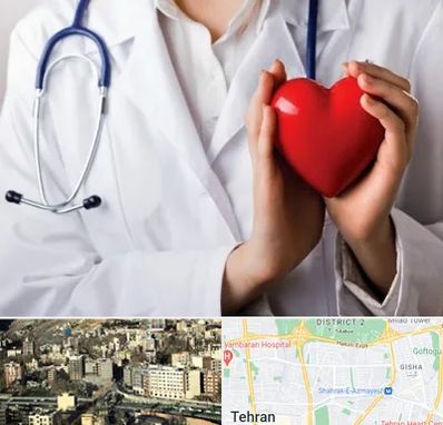 متخصص آریتمی قلب در مرزداران 