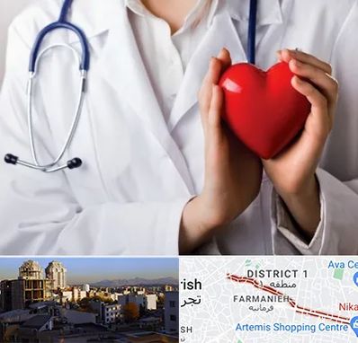 متخصص آریتمی قلب در فرمانیه 