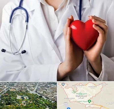 متخصص آریتمی قلب در شهرکرد