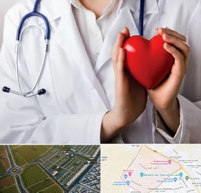 متخصص آریتمی قلب در الهیه مشهد 