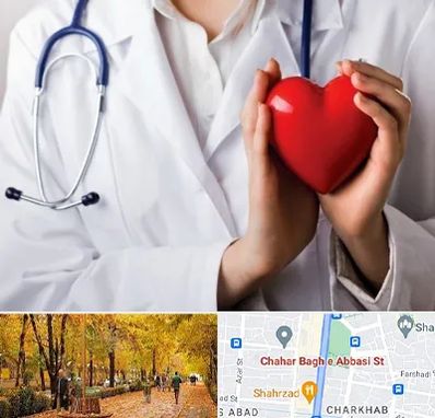 متخصص آریتمی قلب در چهارباغ اصفهان 