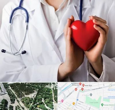 متخصص آریتمی قلب در سالاریه قم 